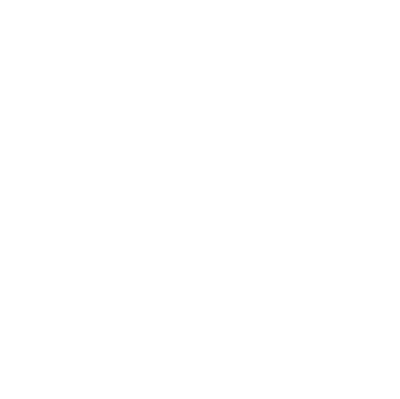 Rhino Coaching